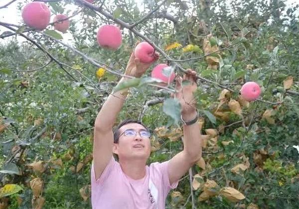 宜川劉雪鋒 ：漂泊十年返鄉創業，憑一己之力3天銷售蘋果5萬元