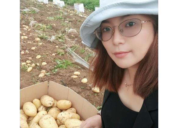 一個月銷售500噸，惠農(nóng)代賣幫助新手夫婦將土豆賣向全國