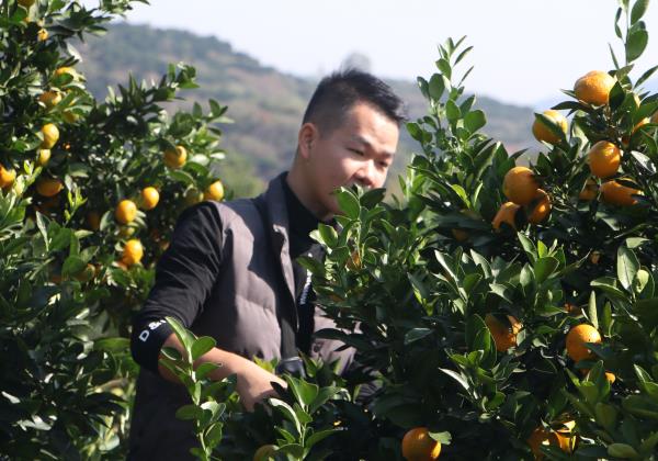 惠農網電商學員滕華：為夢歸鄉 小縣城也有大舞臺