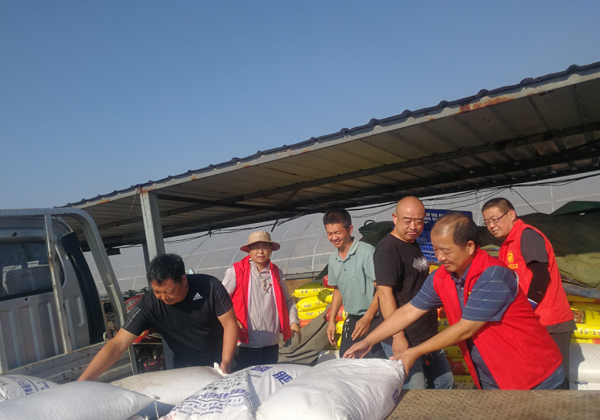 暴雨洪澇后農業生產怎么辦？惠農網農技專家做了這件事
